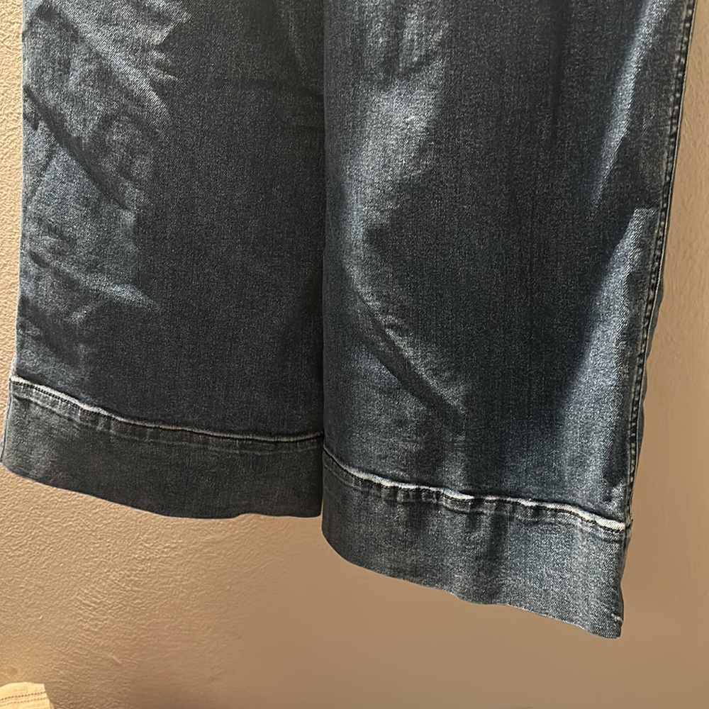 FREE PEOPLE OVERALLS - Picture 5 of 5